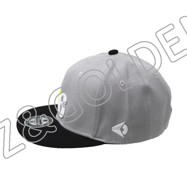 Promotional Baseball Cap Factory - 
 6 Panel 3D Printed Cotton Baseball snapback hat  - FUZHI