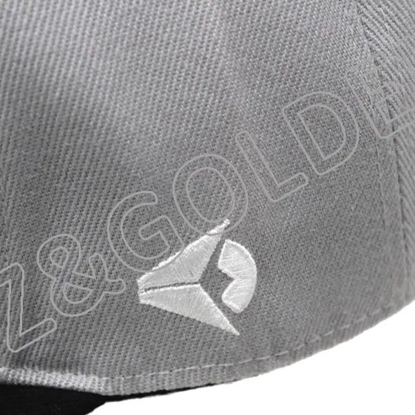 Best-Selling Hip Hop Cap Supplier – 
 6 Panel 3D Printed Cotton Baseball snapback hat  – FUZHI