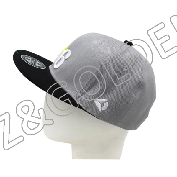 Promotional Baseball Cap Factory - 
 6 Panel 3D Printed Cotton Baseball snapback hat  - FUZHI