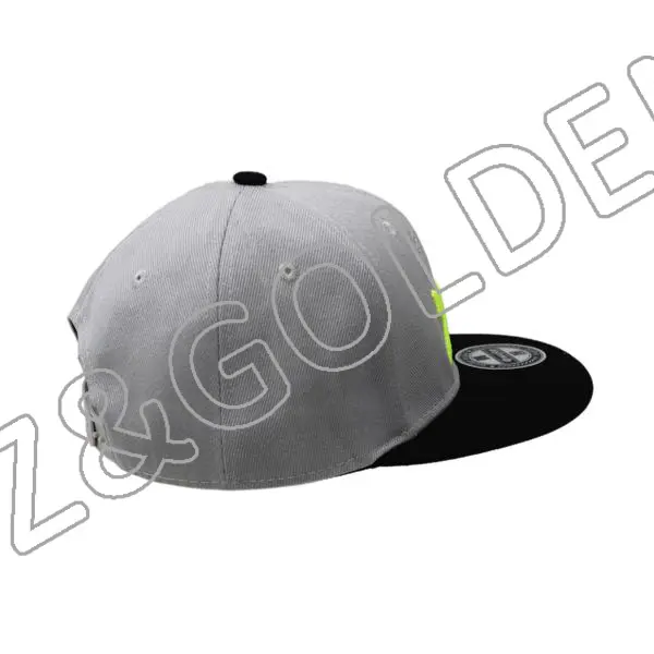 Best-Selling Hip Hop Cap Supplier – 
 6 Panel 3D Printed Cotton Baseball snapback hat  – FUZHI