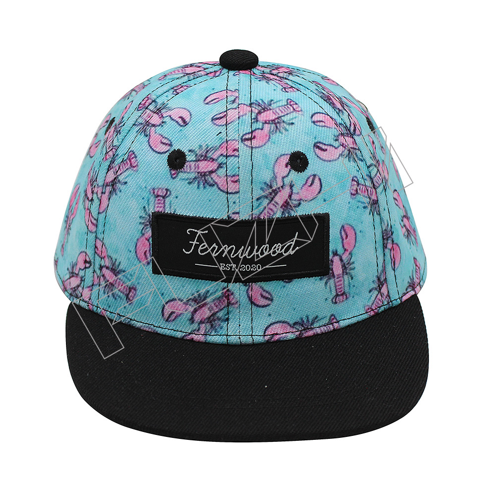FZKS-1001 kids snapback cap