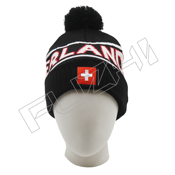 FZBH20250623-3 Jacquard Knitted Beanie with Pom