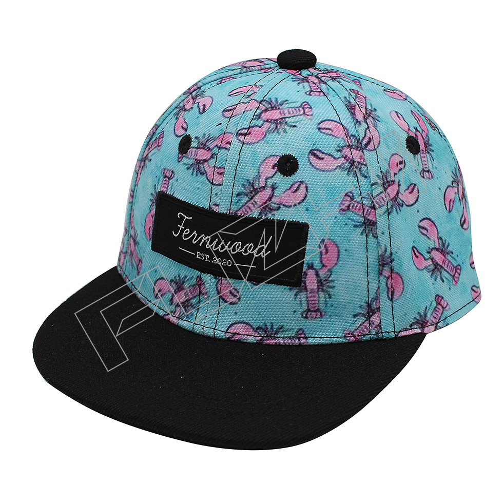 FZKS-1001 kids snapback cap