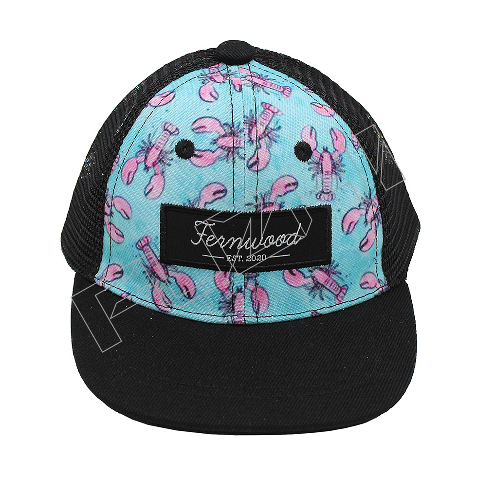 FZKS-1001 kids snapback cap
