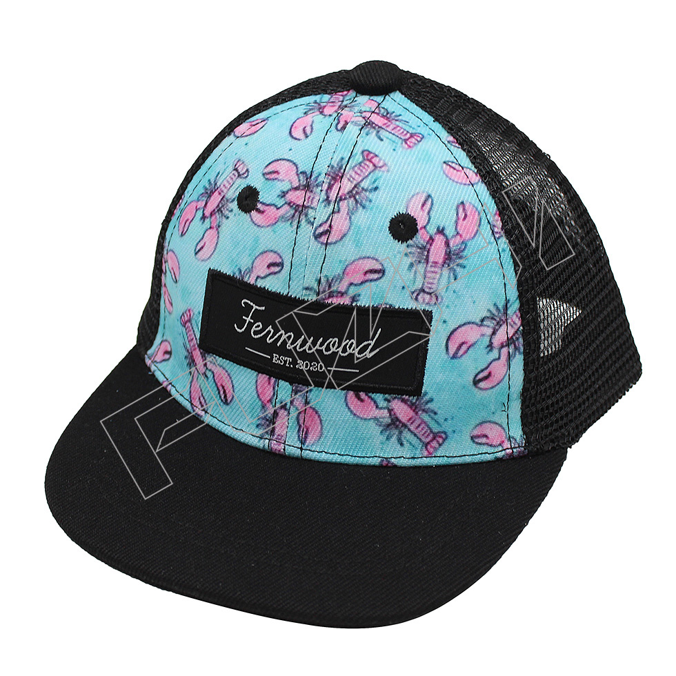 FZKS-1001 kids snapback cap