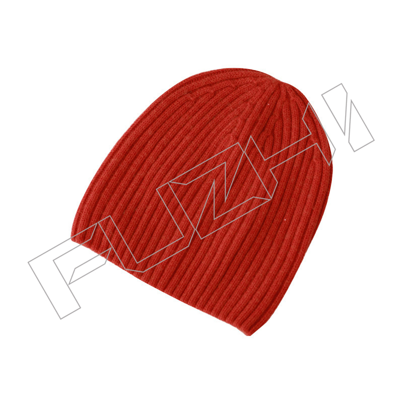 FZBH-1011  Pull-on beanie