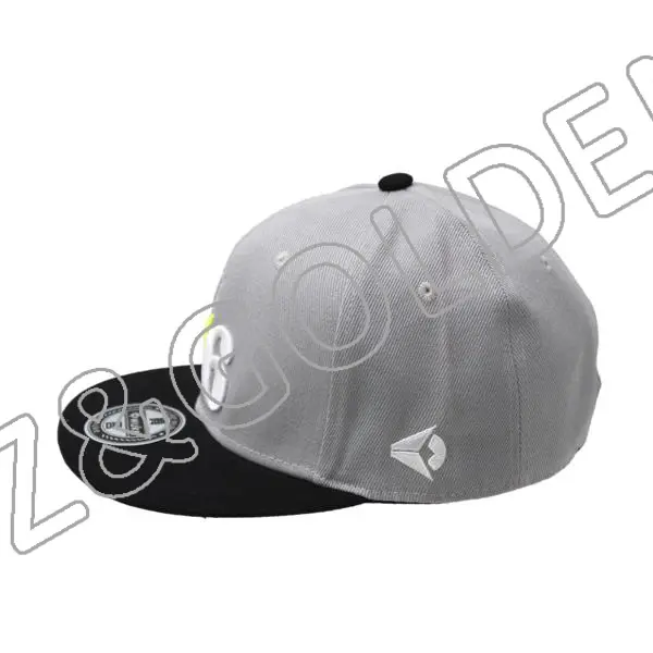 Best-Selling Hip Hop Cap Supplier – 
 6 Panel 3D Printed Cotton Baseball snapback hat  – FUZHI